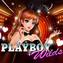 Login No CasiGO Casino